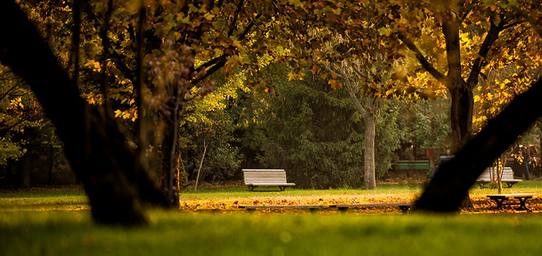 soledad-banco-parque