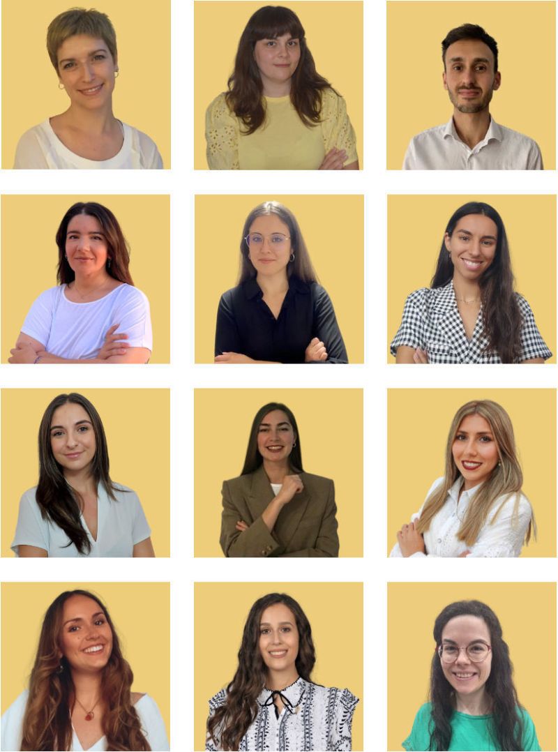 Equipo de psicólogos online de Psicoglobal