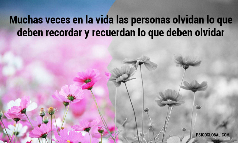 frases de psicologia