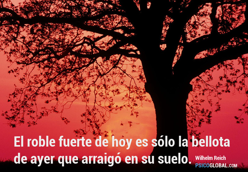 frases de psicologia