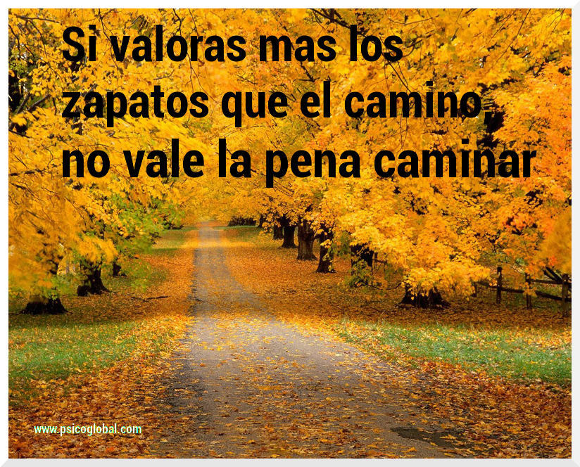 frases de psicologia