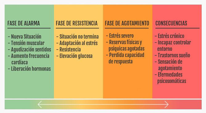 Fases del Estrés