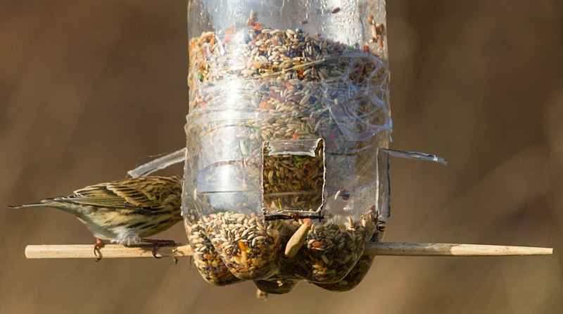 botella-comedero-pajaros
