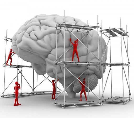Representación del cerebro y la rehabilitación neuropsicológica
