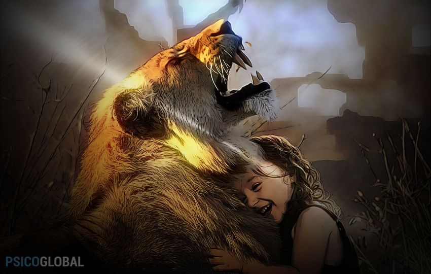 mejorar agresividad dib