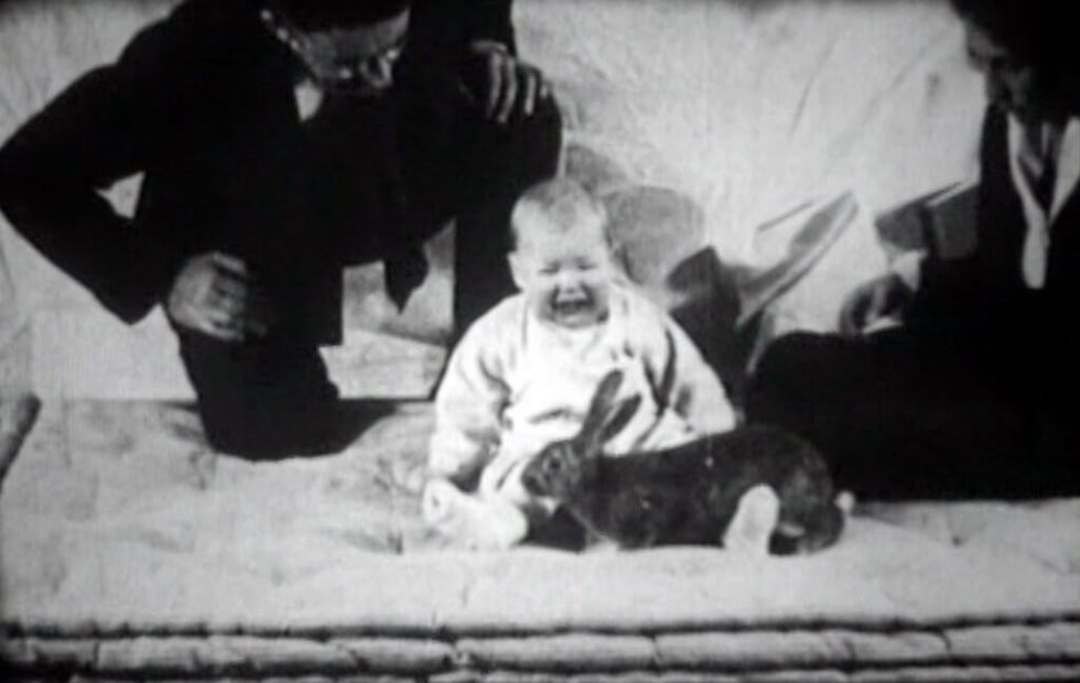 pequeno-albert-1920