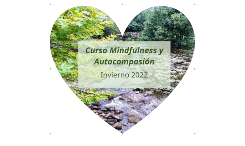 Curso de Mindfulness y Autocompasión