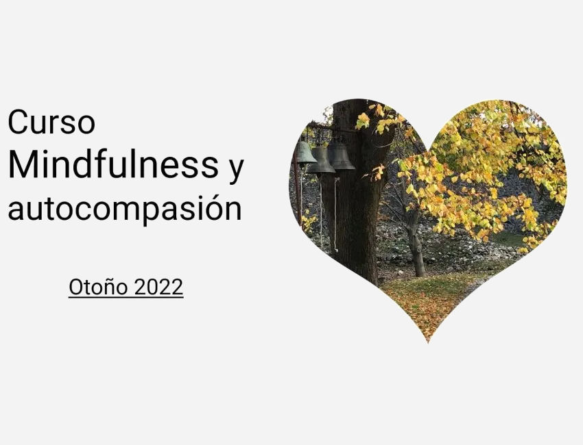 Curso de Mindfulness y autocompasión